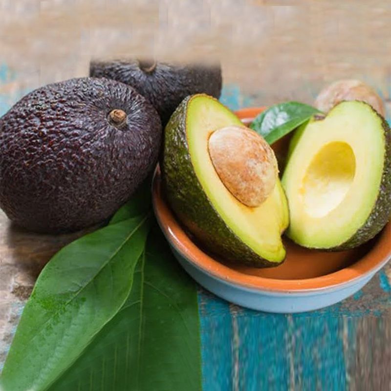 Avocados: Nutrient-Rich, Versatile, and Simply Delicious - Shop N Save
