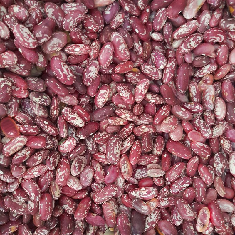 Rosa Coca Beans: Nutty Delight, Cultural Heritage, Eco-Friendly Goodness - Shop N Save