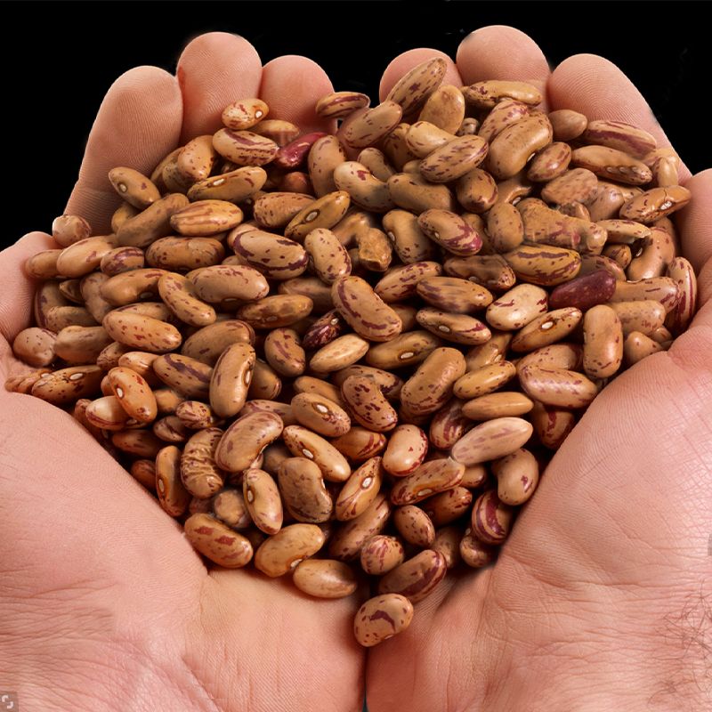 Rosa Coca Beans: Nutty Delight, Cultural Heritage, Eco-Friendly Goodness - Shop N Save