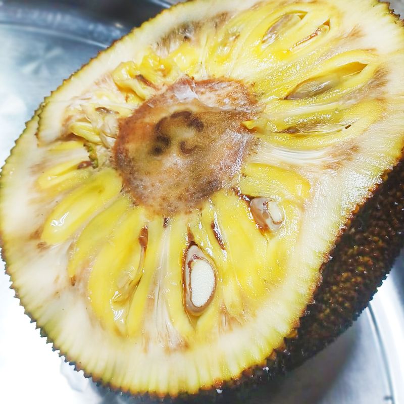 Jackfruit: Versatile, Nutrient-Rich, Vegan Meat Substitute Delight - Shop N Save